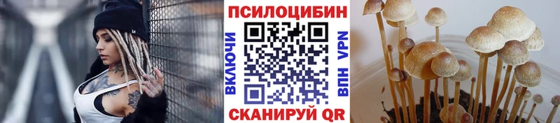KRAKEN ONION  купить наркотики сайты  Партизанск  Галлюциногенные грибы Magic Shrooms 